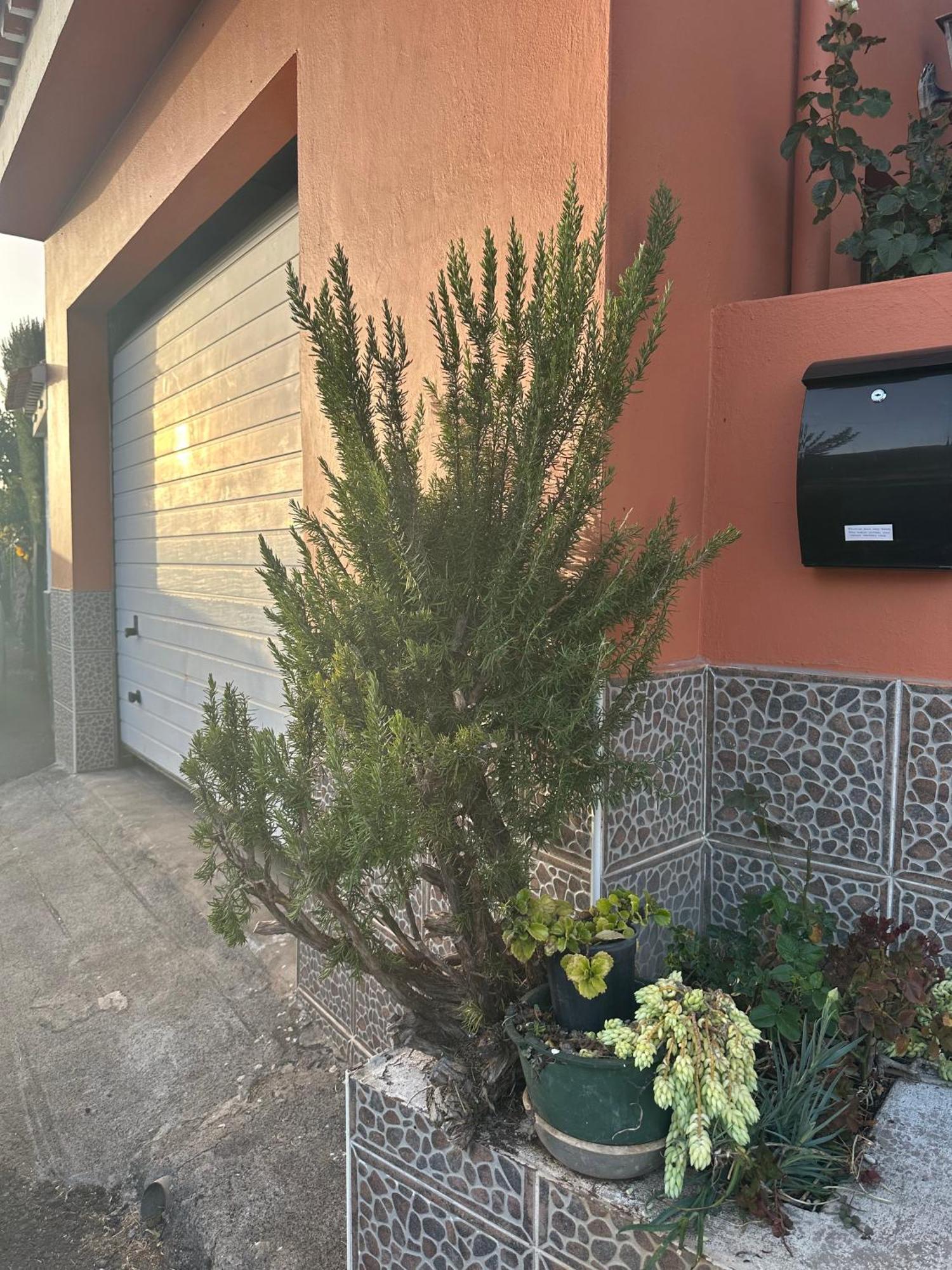 Apartamento Fortaleza Vallehermoso Exterior foto